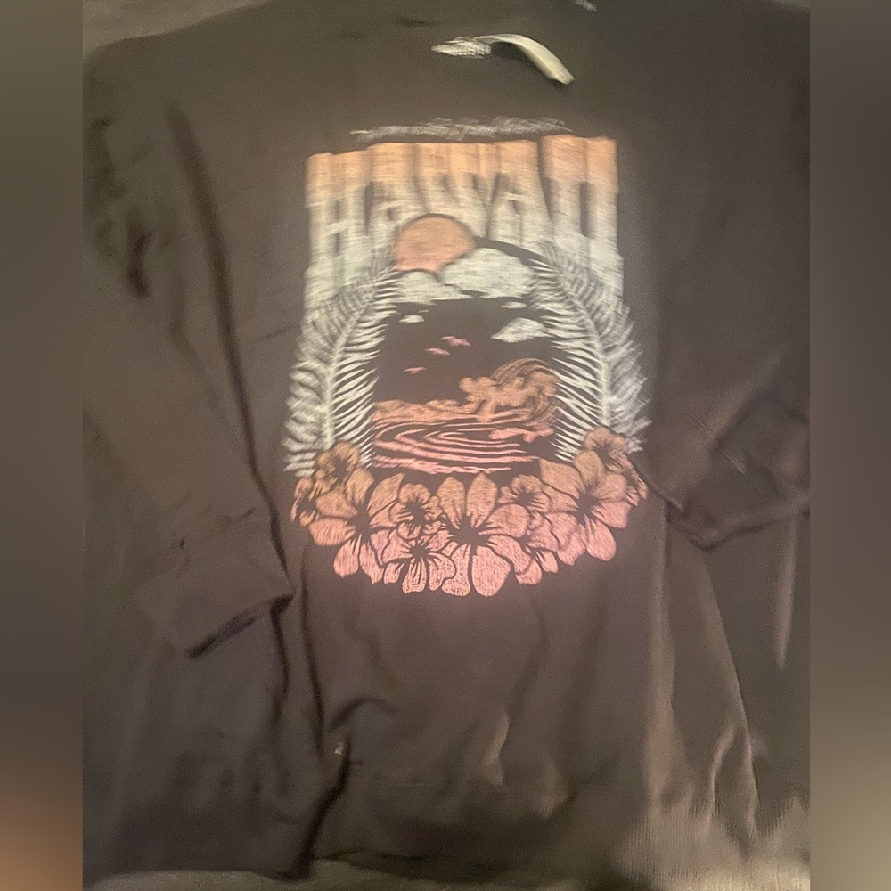 Hollister Sweatshirt